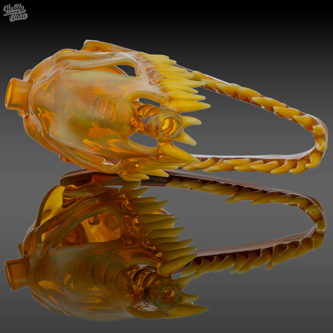 Buck Glass - NS Yellow Allosaurus Skull